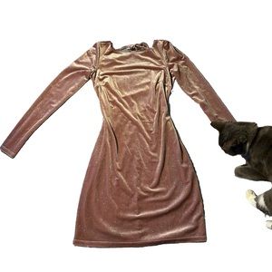 Dusty Rose Mini Jump Apparel Dress